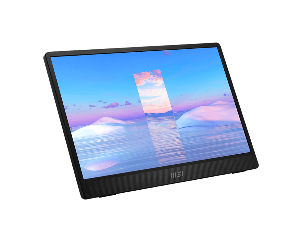 Monitor MSI PRO MP161 (1)