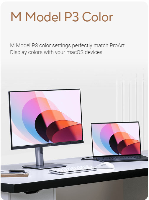 M Model P3